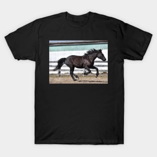 Denver T-Shirt